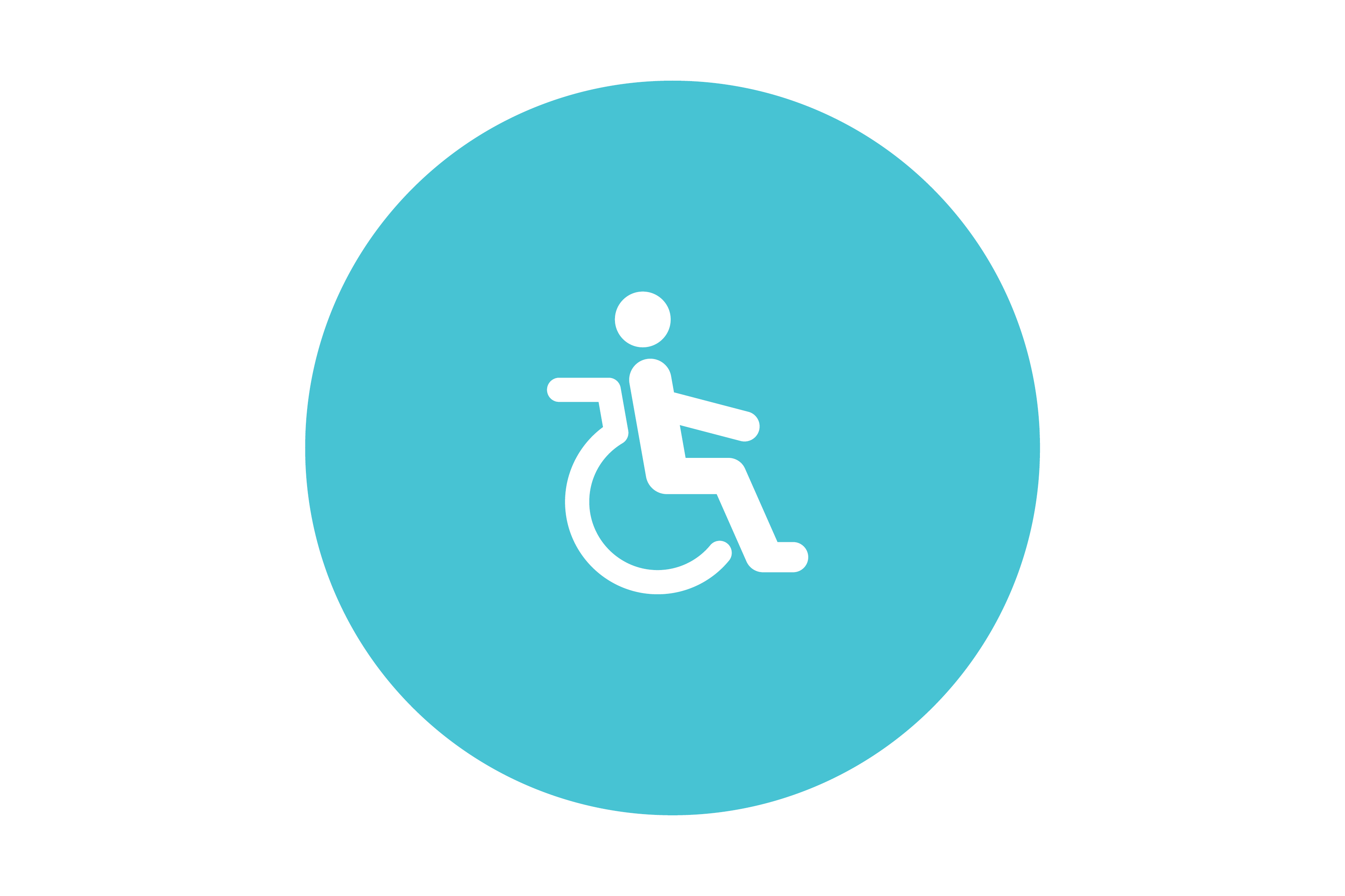 The international disability icon: a person in a wheelchair.